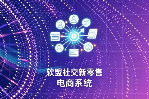 软盟社交新零售电商系统