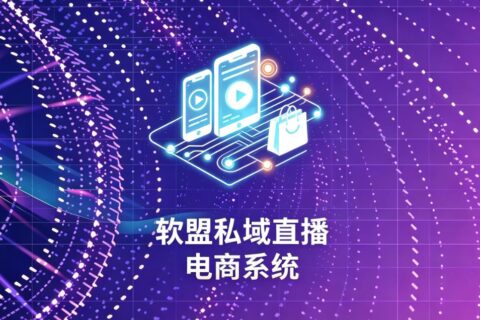 软盟私域直播电商系统