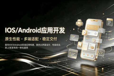 APP定制开发