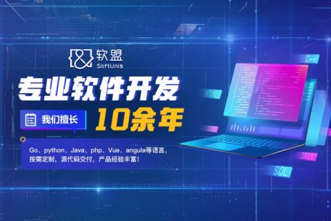 软件定制开发：专业解析与全面指南