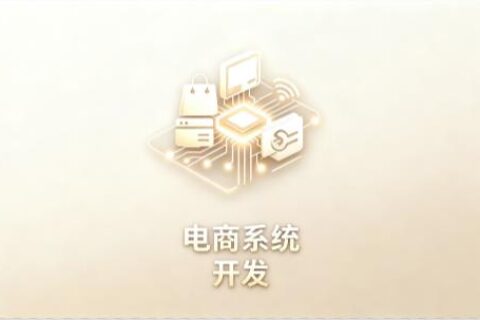 电商系统定制开发