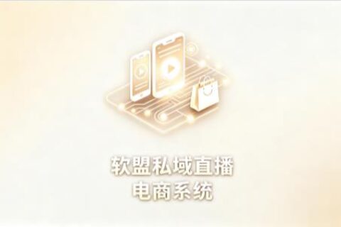 软盟私域直播电商系统