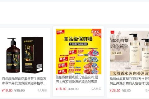 跨境电商平台的开发案例介绍