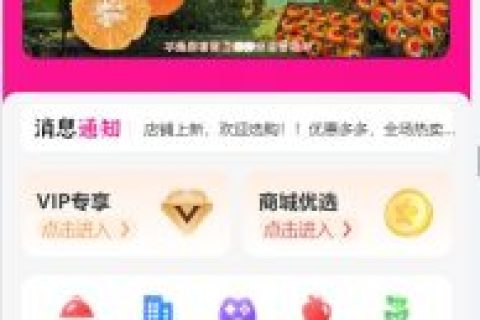 社交新零售电商平台开发案例分享