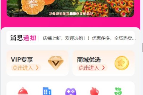 社交新零售电商平台开发案例分享