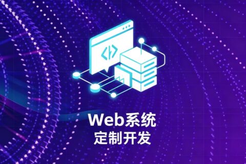 Web系统定制开发
