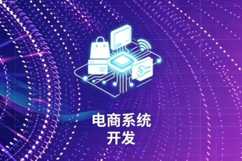 电商系统定制开发
