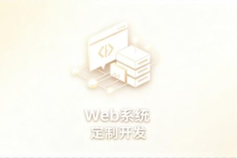 Web系统定制开发