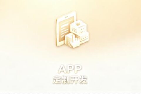 APP定制开发